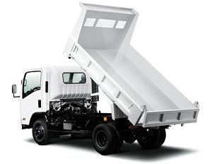 eco 61